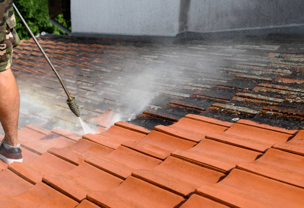 Best Best Pressure Washing Companies  in La Follette, TN